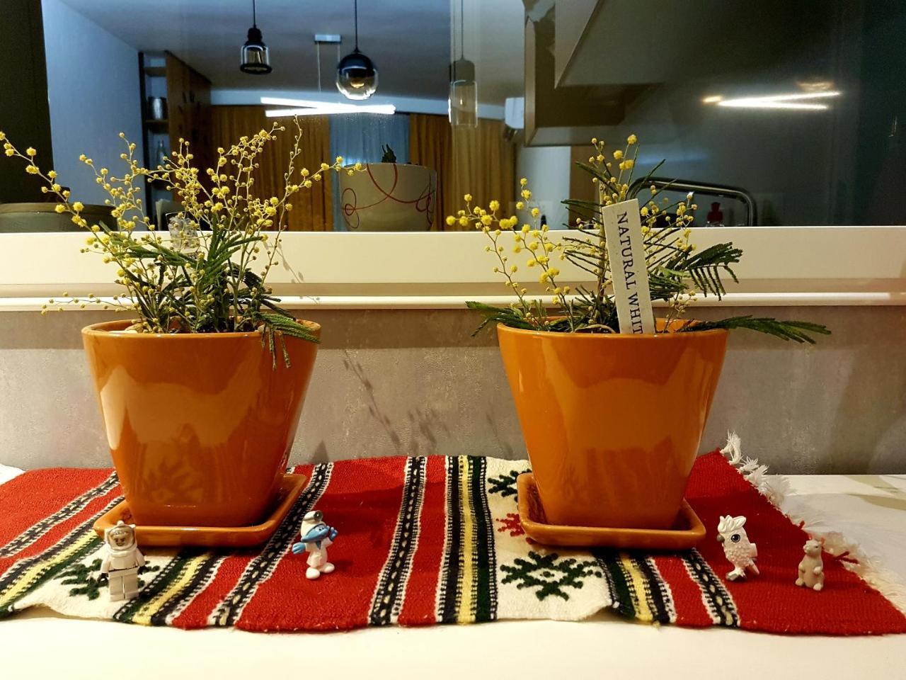 Central Luxury Apartment Tirana Eksteriør billede